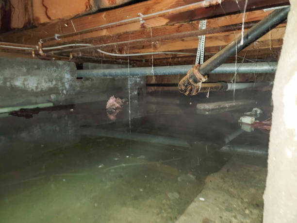 Reliable Kenmore, NY Water damage restoration Solutions